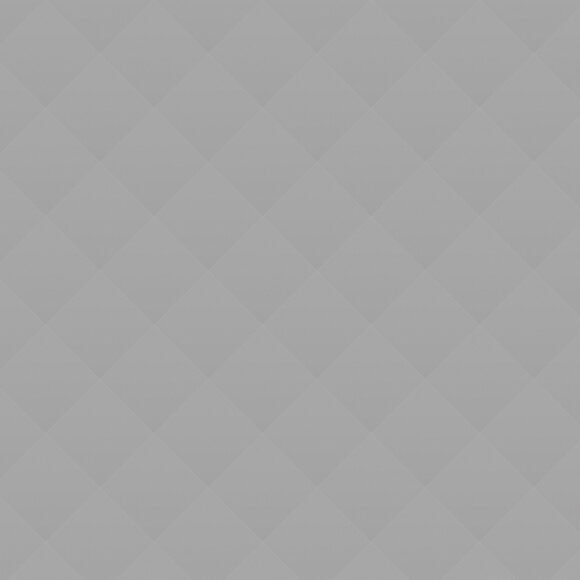 Understanding the Bible Understanding the Bible